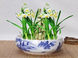 无奈的是感情，强悍的是命运 美好的祝愿短句