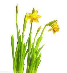 晚安的说说 晚安说说经典句子朋友圈最佳晚安说说(精选18句)