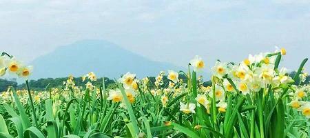 2021过年祝福语 最新牛年2021祝福语贺词
