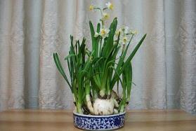 2021小年朋友圈祝福语文案短句