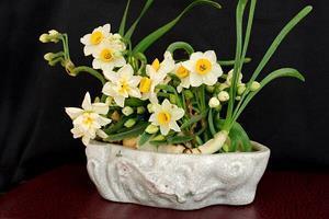 劳动节的由来简短 劳动节的名言警句精选77句