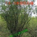 送给疫情一线人员的文字精选
