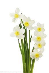 微博简介文艺短句