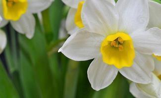 形容夏天的好句