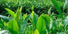 2021小年美好的祝福语文案