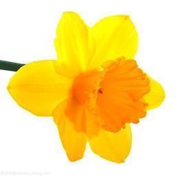 关于未来的正能量句子