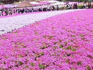 微信群聊名字有创意的