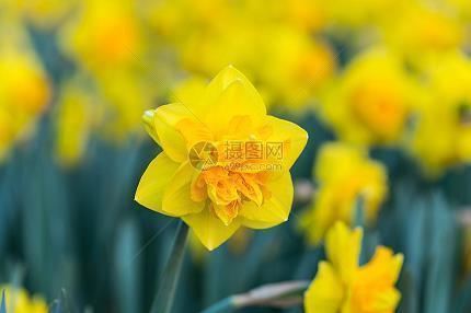 国庆放假的说说79句