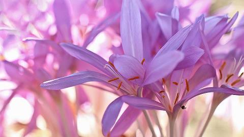 2020朋友乔迁新居贺词简短