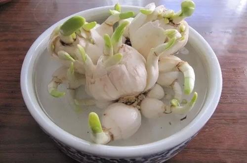 2021重阳节微信朋友圈祝福语(精选75句)