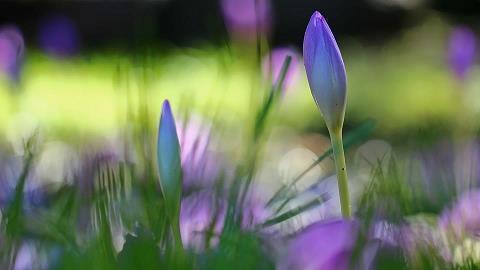 2021教师节唯美好句精选69句