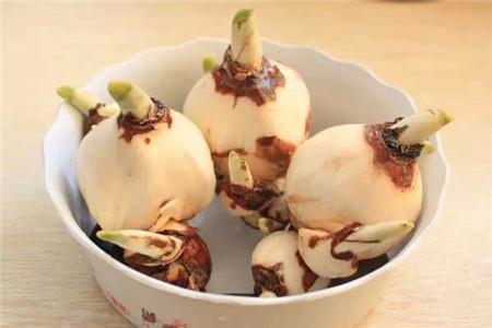 形容家人冷漠对家人失望的句子