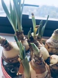 2021清明节简单又温馨的问候语