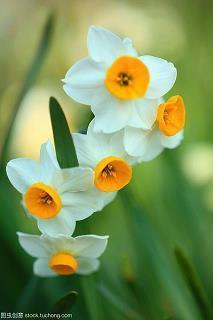 心情不好的说说经典 心情不好抑郁的句子99句