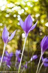 2021高考寄语简短唯美句子100条汇总97句