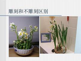 2021平安夜微信朋友圈祝福语文案(精选76条)