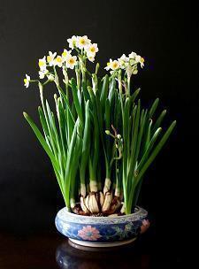 【精华】充满正能量的短句 积极向上的句子推荐87句