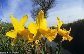 2020年新学期开学祝福语