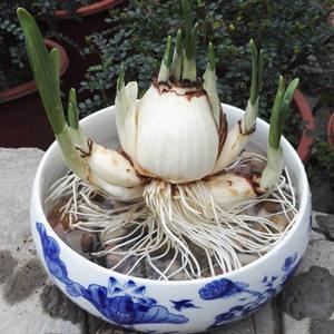 最唯美的伤感心情说说文艺范大全(精选42句)