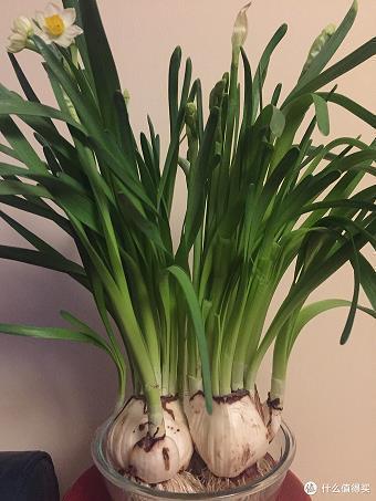 2020给微信好友春节祝福语