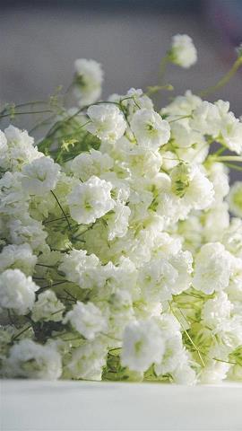 2.14情人节送女朋友的祝福语浪漫情话