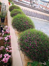 2021最火感悟人生短句 适合发朋友圈正能量短句(精选76句)