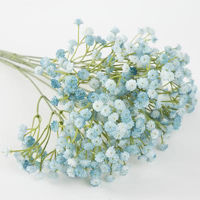 关于立春时节的谚语说说