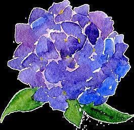 关于花的唯美意境句子32句