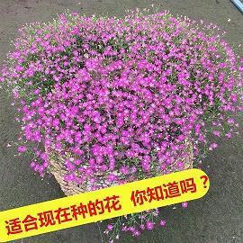 朋友圈下雪的说说心情短语