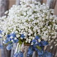 唯美句子摘抄古风爱情