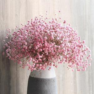 衲袄