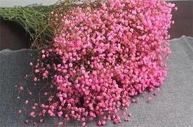 2021立夏节气唯美温馨祝福寄语汇编58句