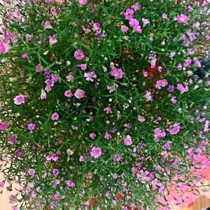 女生失恋伤感句子