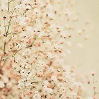 六一儿童节简短句子 六一儿童节快乐的短句