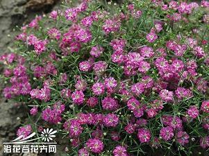 岁月匆匆的唯美句子 时光飞逝的短句唯美(精选73句)