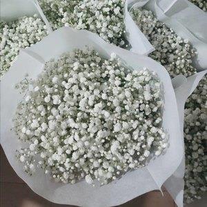 最新温暖治愈系说说 抖音年个性说说大全
