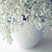2021牛年企业祝福语贺词