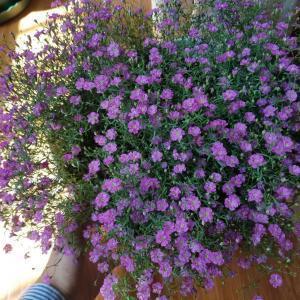 关于早安的励志经典的朋友圈说说(精选33句)