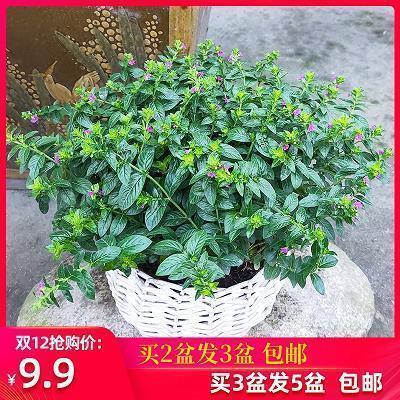 最触动人心的一句话心情说说15句