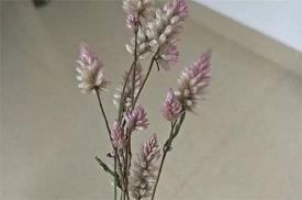 2021最新元旦祝福语简短温馨一句话