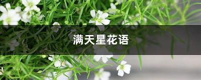 任战