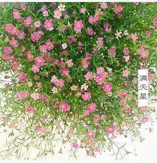2021年跨年文案