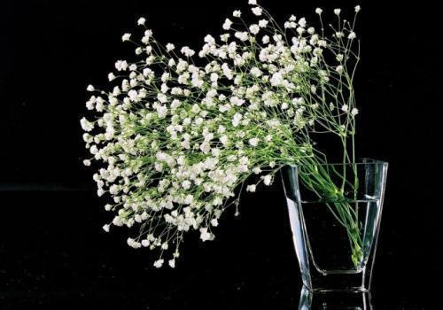 放下不属于自己的说说(精选48句)