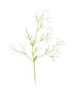 2021年圣诞节祝福语简短又精辟(精选60条)