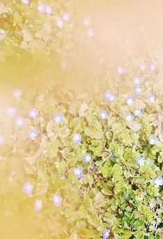 2021教师节简短祝福语一句话(精选94条)