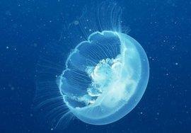 2021冬至祝福语文案大全(精选87条)