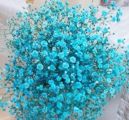 大学毕业祝福语 毕业留言唯美句子精选64句