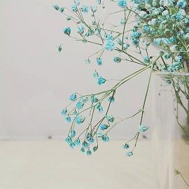 2020老公生日祝福语简短