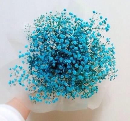 2021年立冬祝福语文案短句(精选71条)