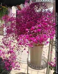 刷爆朋友圈的微信个性说说(14句)